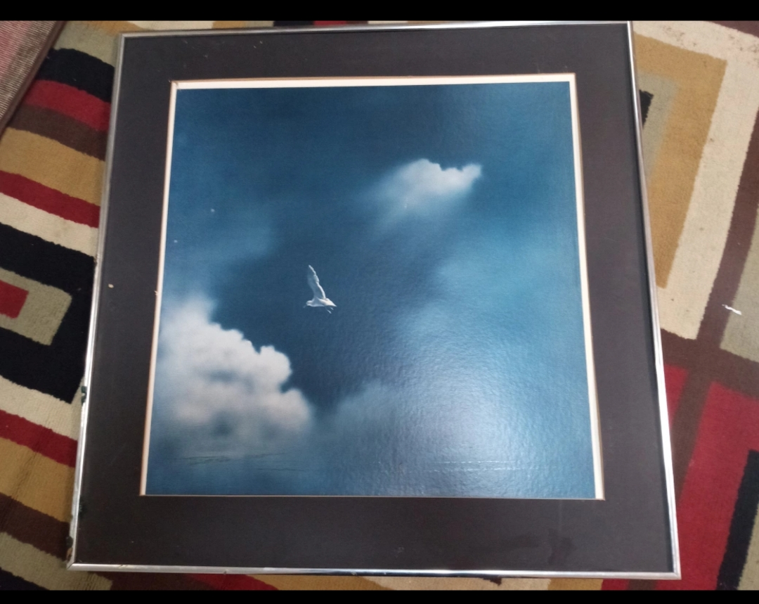 framed picture