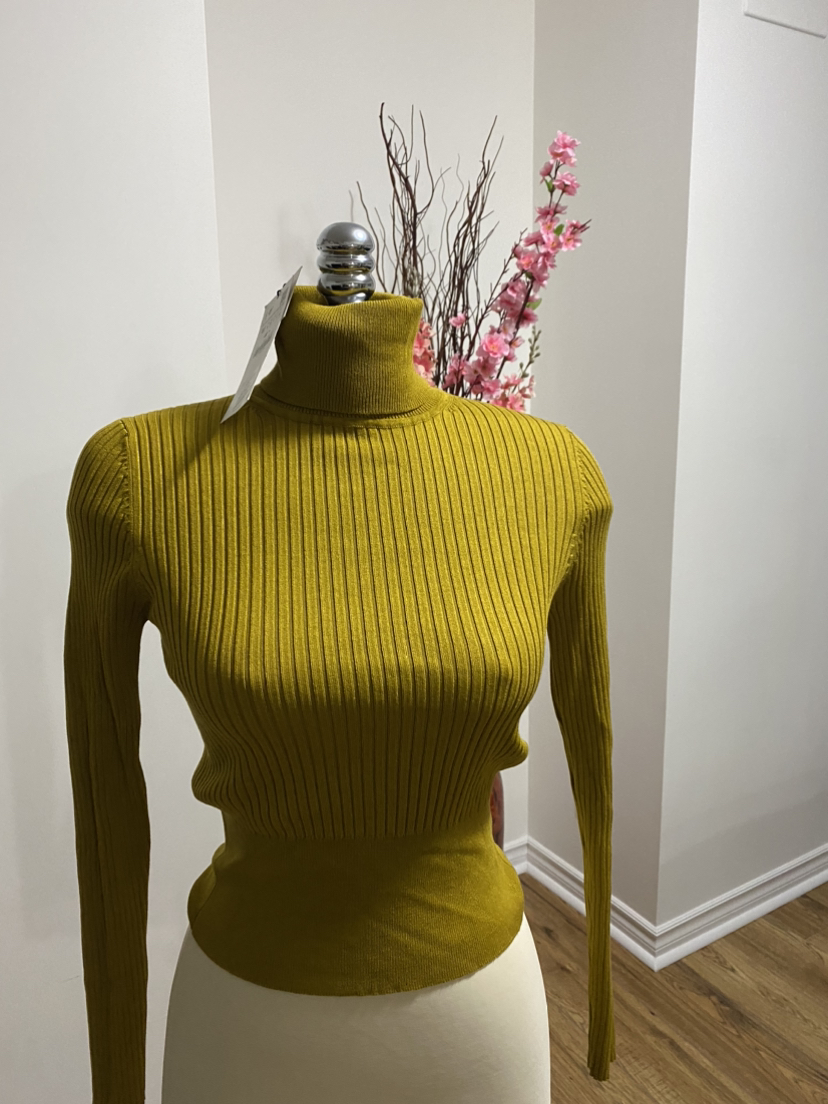 Zara top. Brand new . Ladies size M
