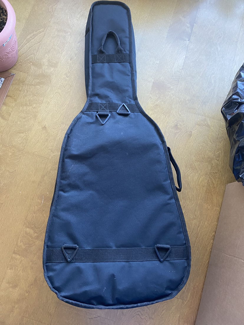 Case for Guitar - photo 2