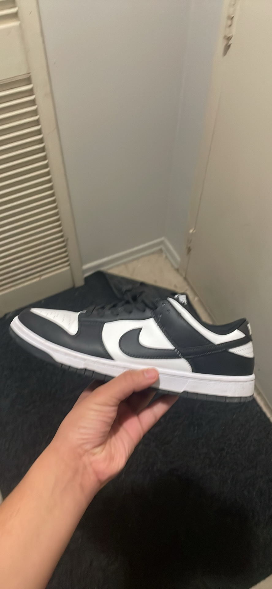 Panda dunk - photo 3