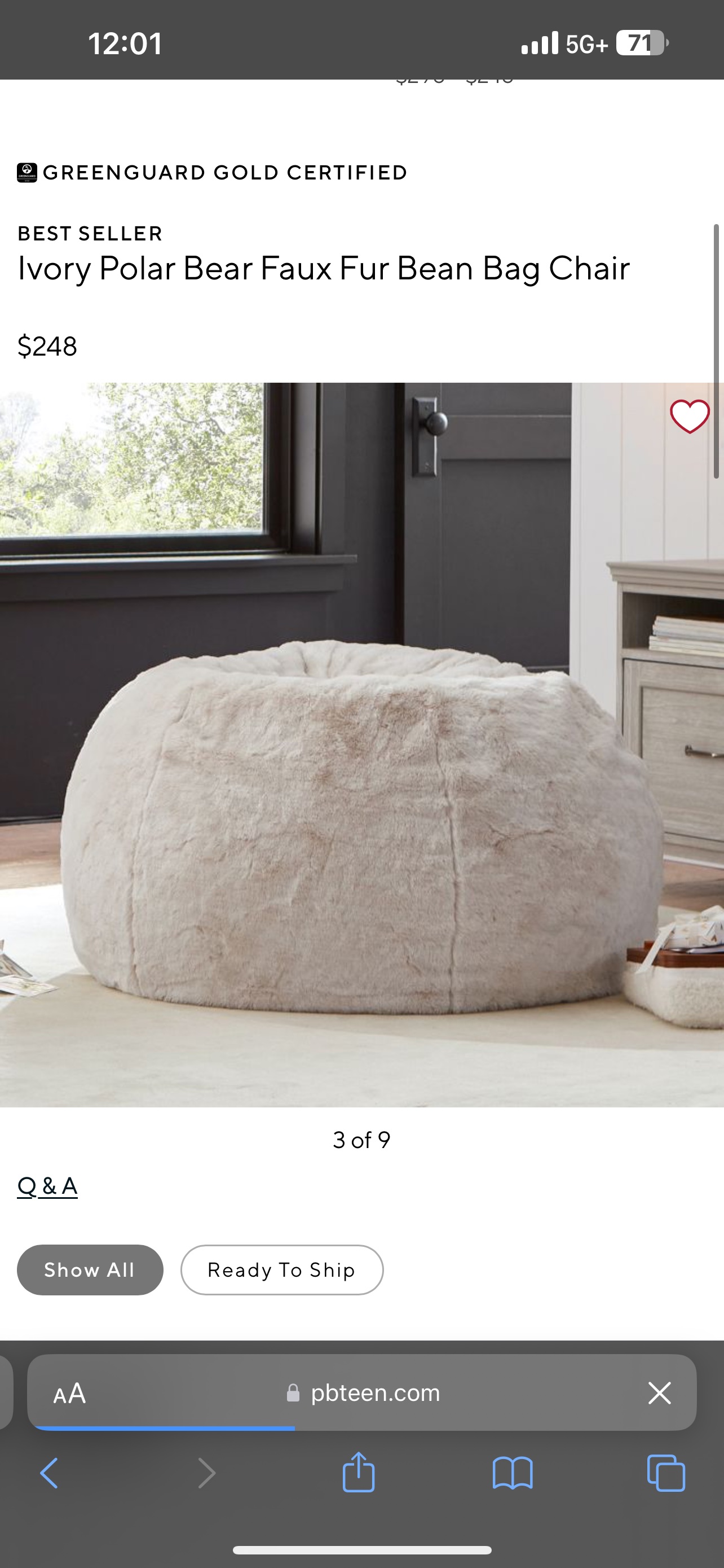 Pottery Barn Large Furry Bean Bag