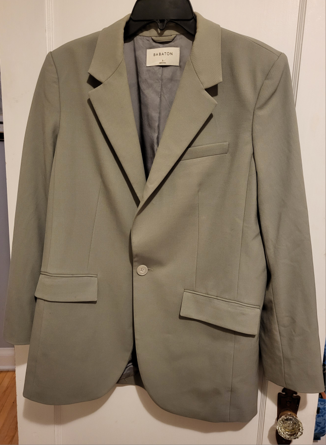 Babaton Blazer Size: S image indicator(4)