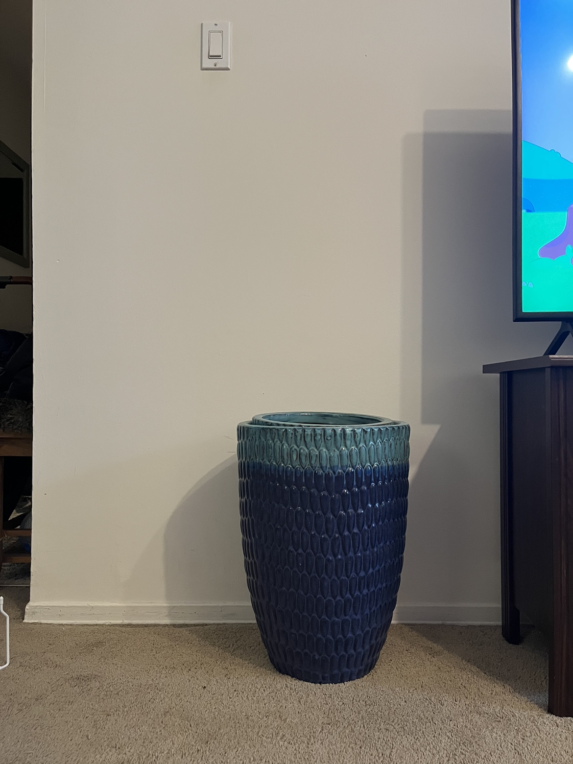Ceramic tall plant/tree pots (indoor or outdoor) - photo 4