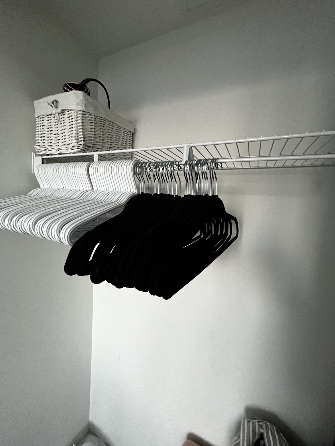 Free Hangars! Moving, must go! - photo 2