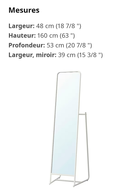 standing mirror image indicator(2)