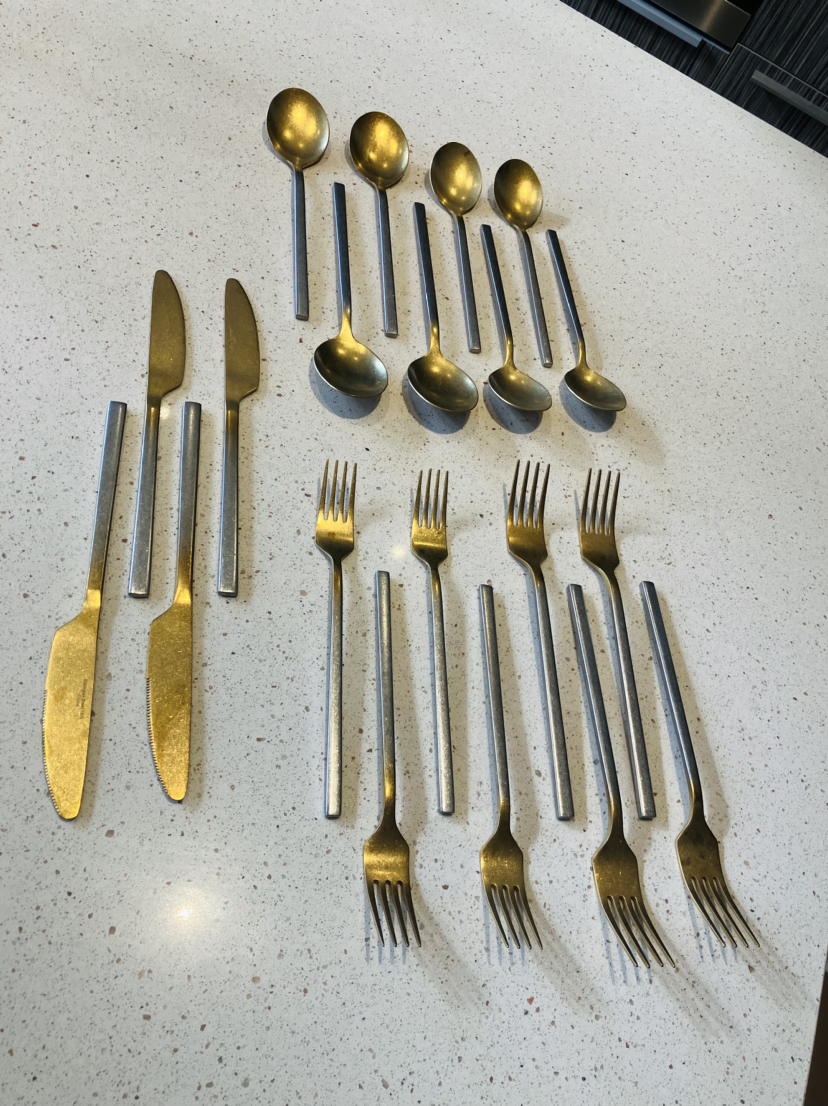 CB2 20-PIECE RUSH BRUSHED OMBRE FLATWARE CUTLERY SET