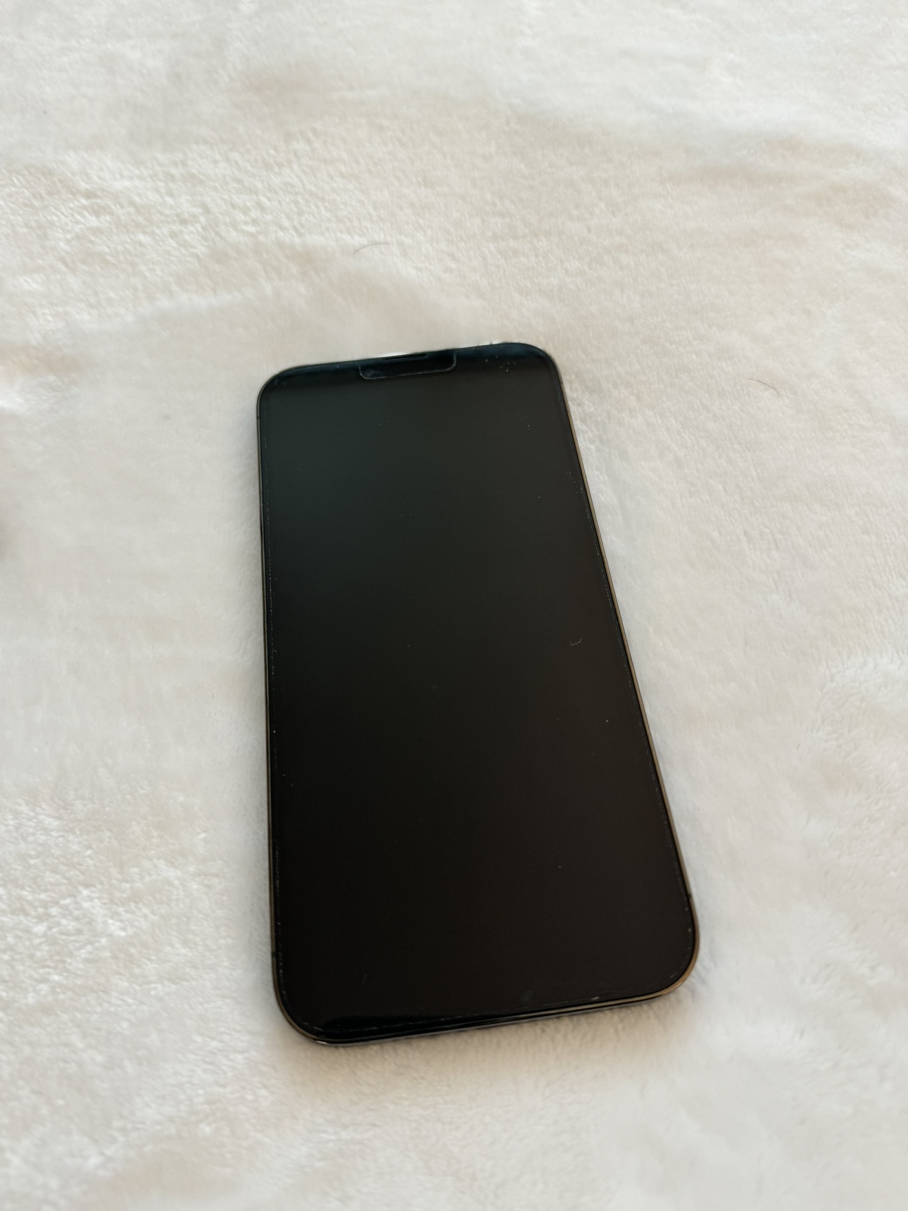 iPhone 13 Pro Max | 256GB | Alpine Green - photo 3