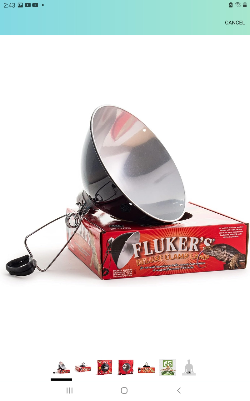 4 Fluker's Clamp Lamp with Switch - 10", Black