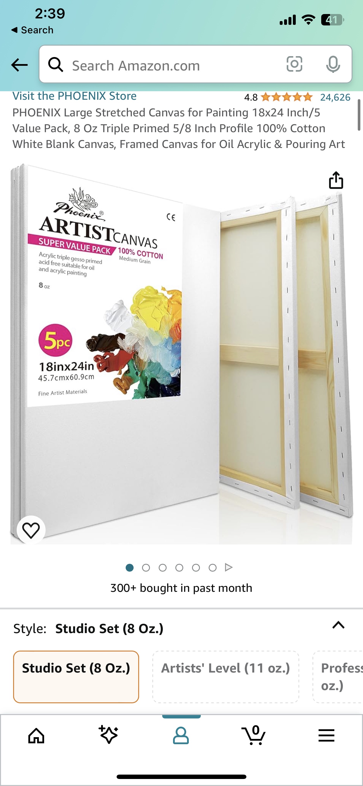 Canvas (5) stretched - art supply
