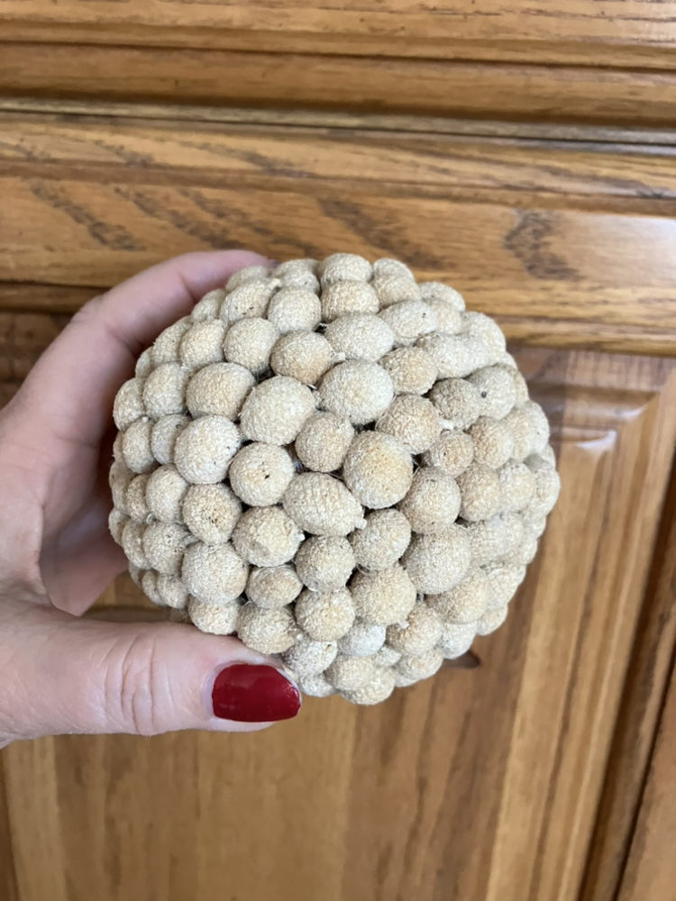 Table decor image indicator(8)