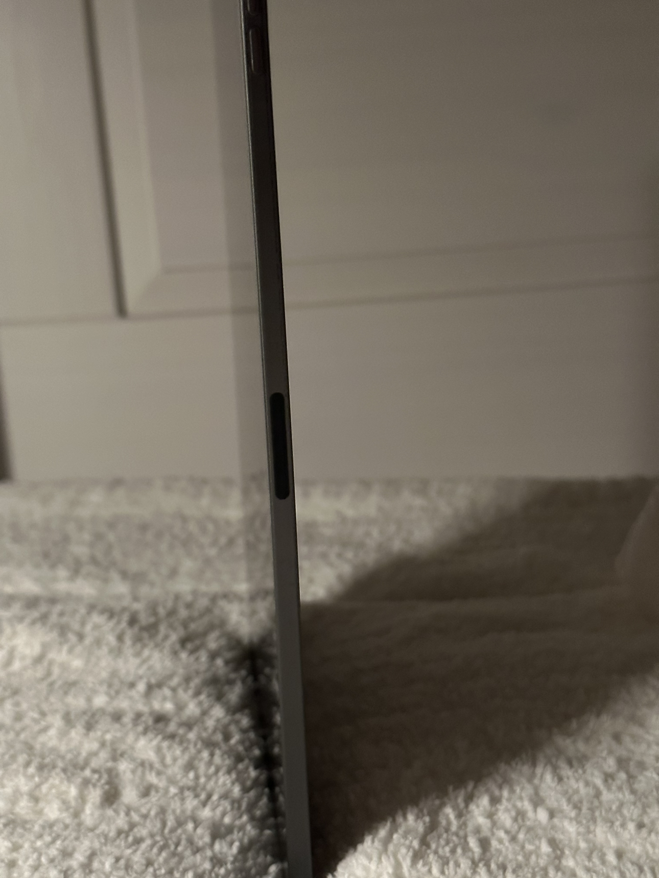 iPad Pro + Apple Pencil 265GB image indicator(6)