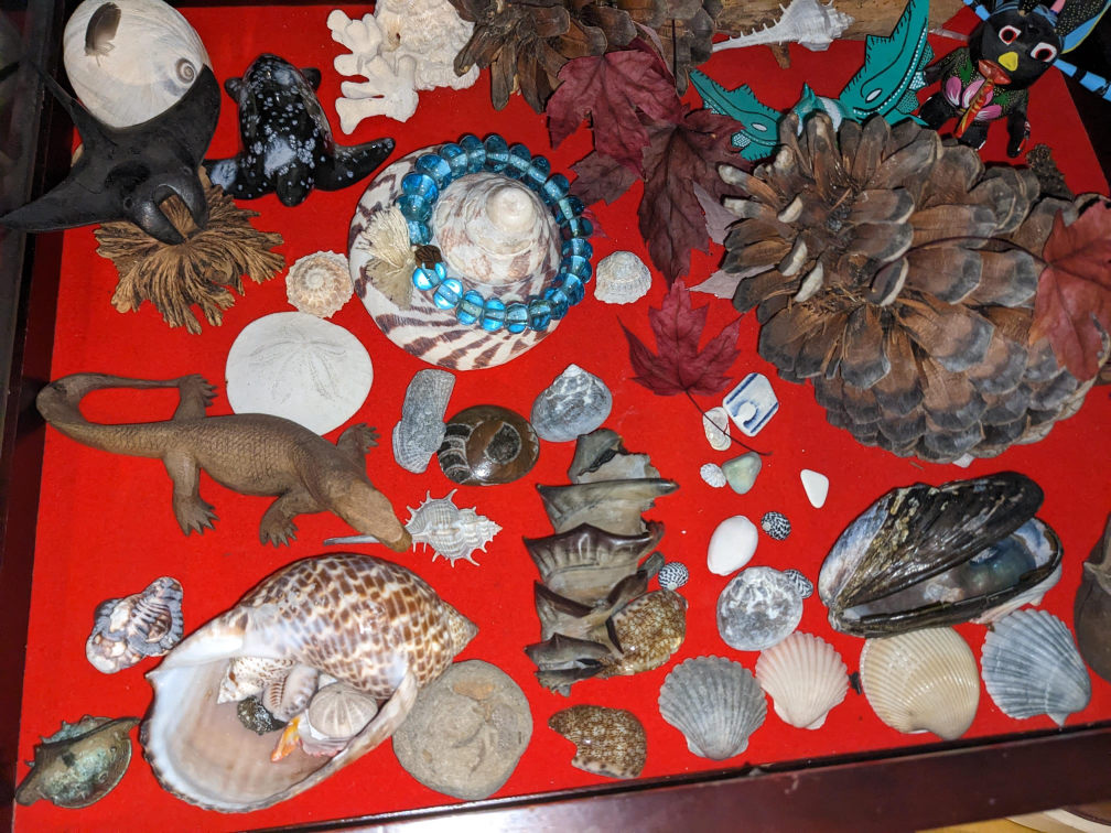 various decor from abroad 🥕 image indicator(3)