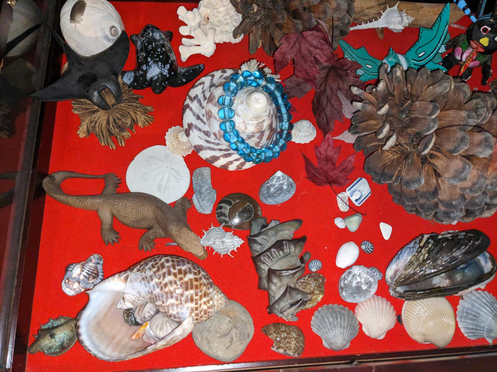 various decor from abroad 🥕 image indicator(5)