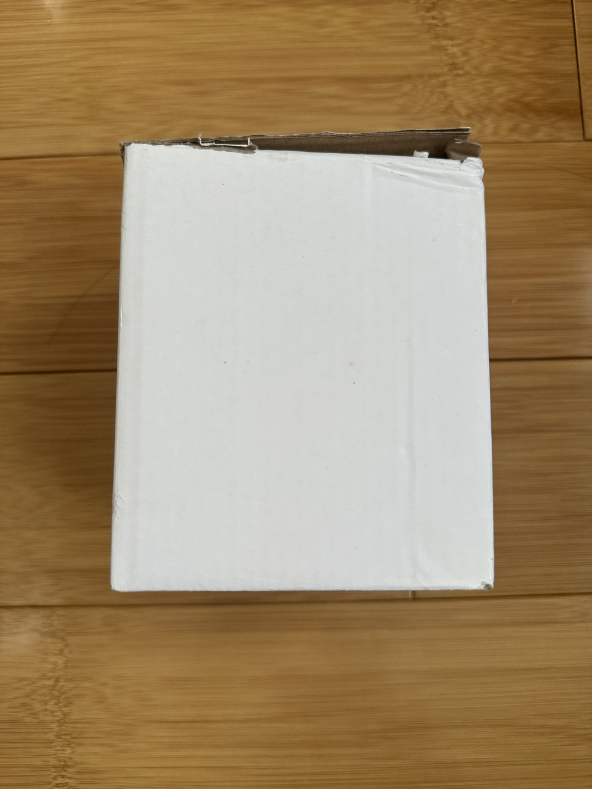 Cute Romantic Snowglobe 🩵 image indicator(7)