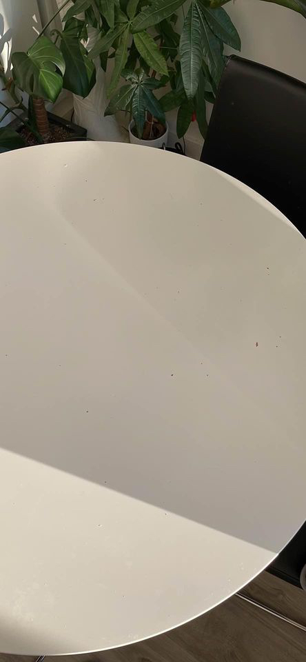 ikea dining table - photo 4