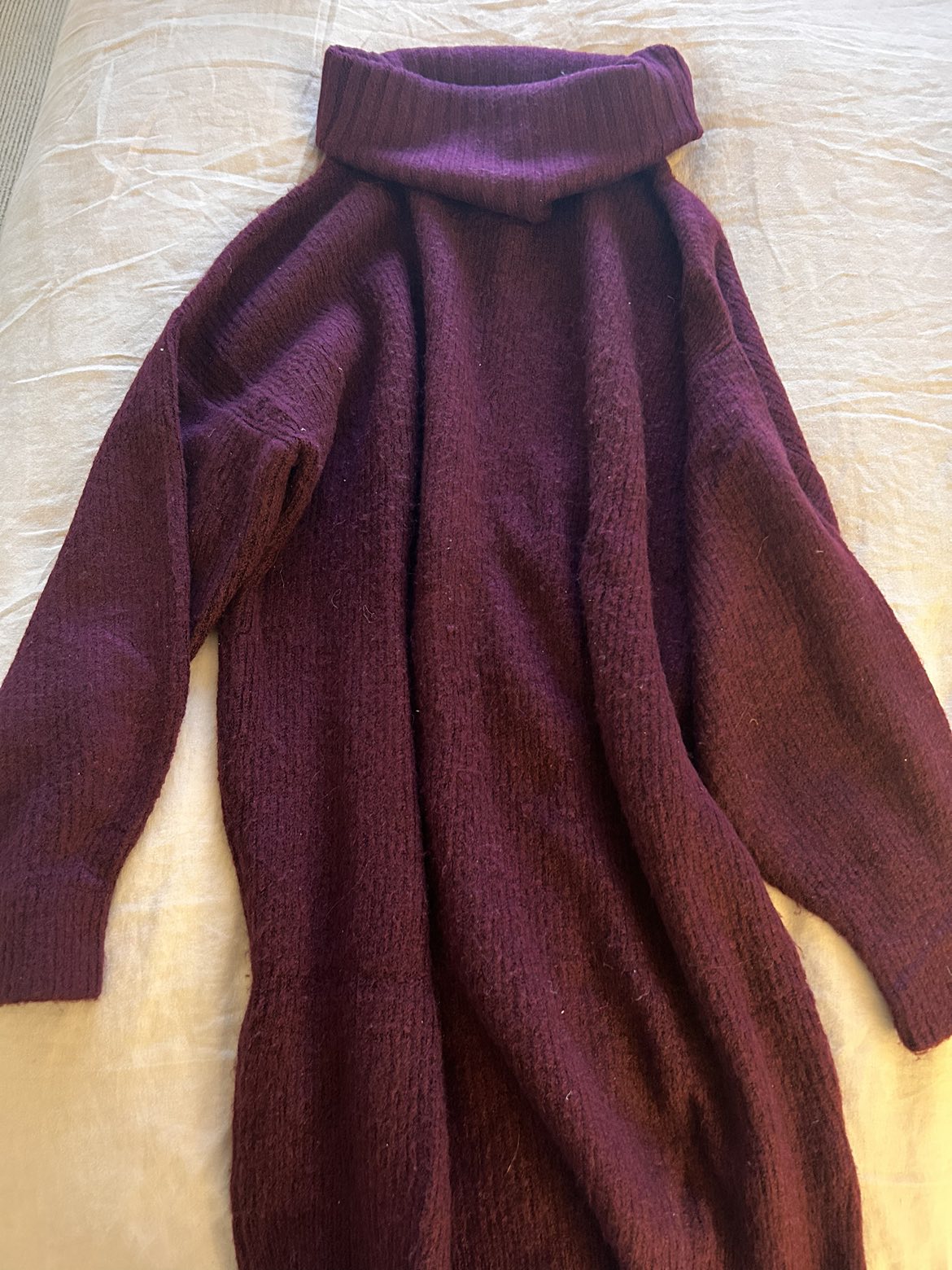 Express Sweater-Dress #freecycle thumbnail