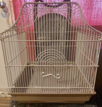 Bird cage