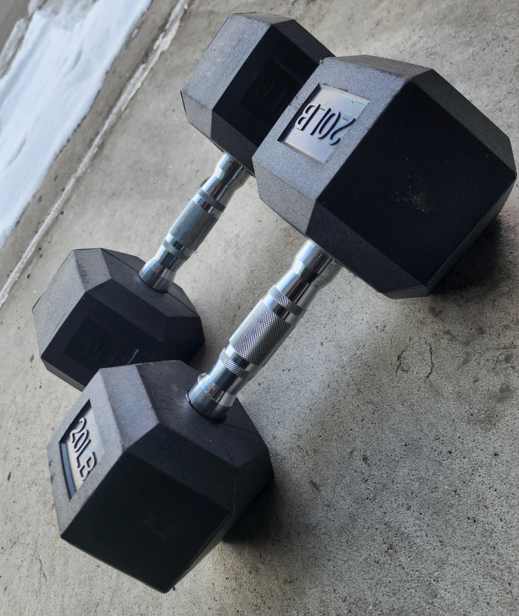 20lb Hex Dumbbells-Free Delivery Within The GTA thumbnail