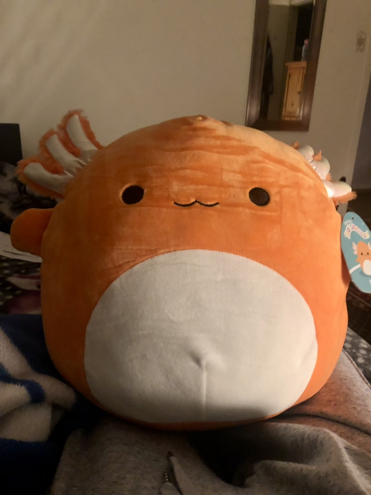Nico the Axolotl thumbnail