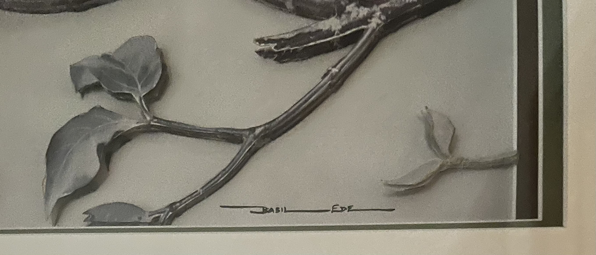 *REDUCED* VINTAGE BASIL EDE BLUE JAYS IN 3D  PAPER TOLE 🏈 image indicator(7)