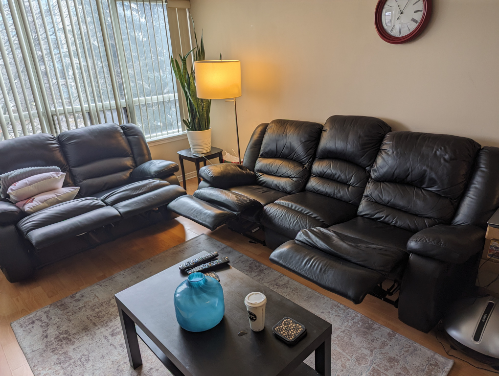 Sofa leather - photo 2