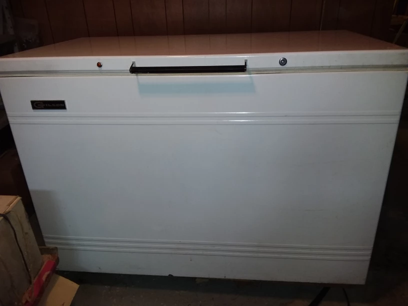 freezer thumbnail
