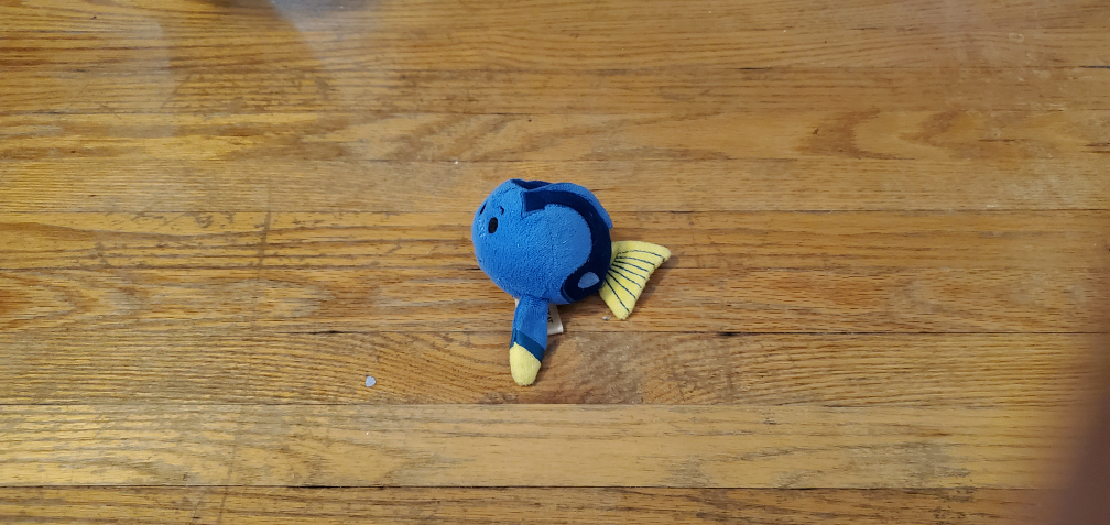 Finding Nemo - Dory