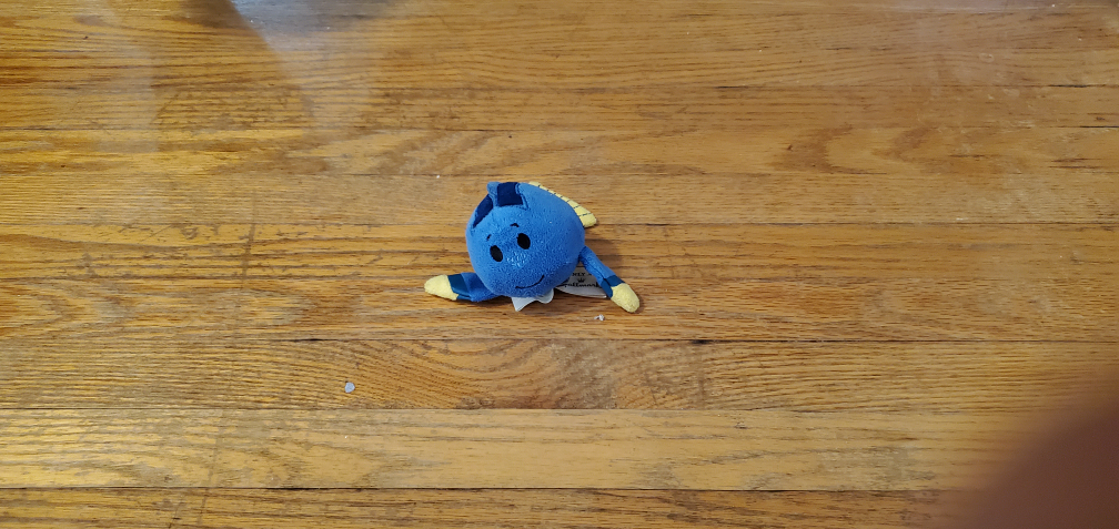 Finding Nemo - Dory - photo 2