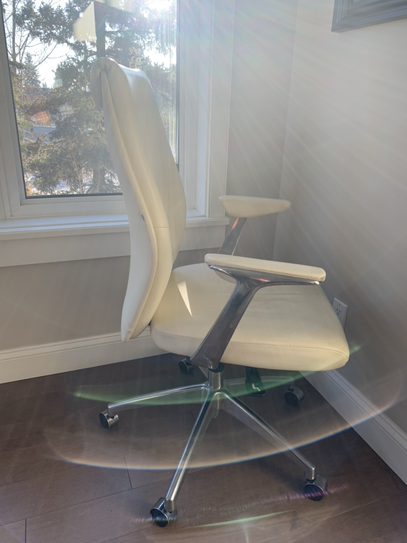 Urban Barn Office Chair - photo 3