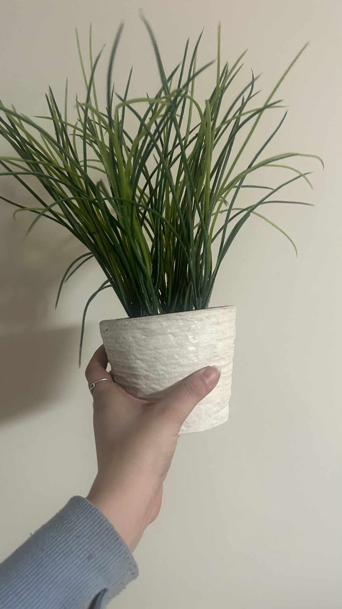 Fake Plant in White Pot 🥕 thumbnail
