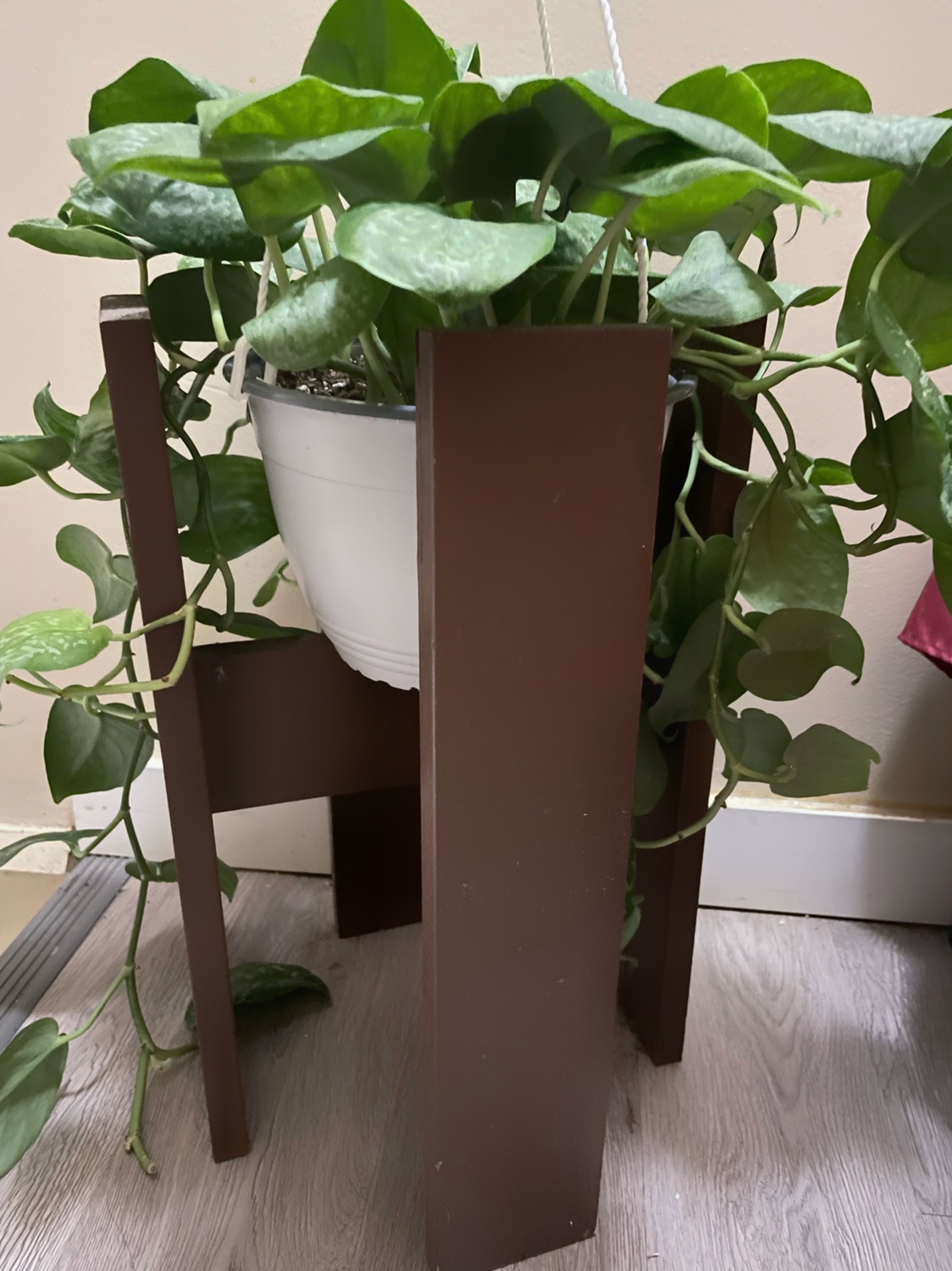 🥕Large plant stand - brown thumbnail
