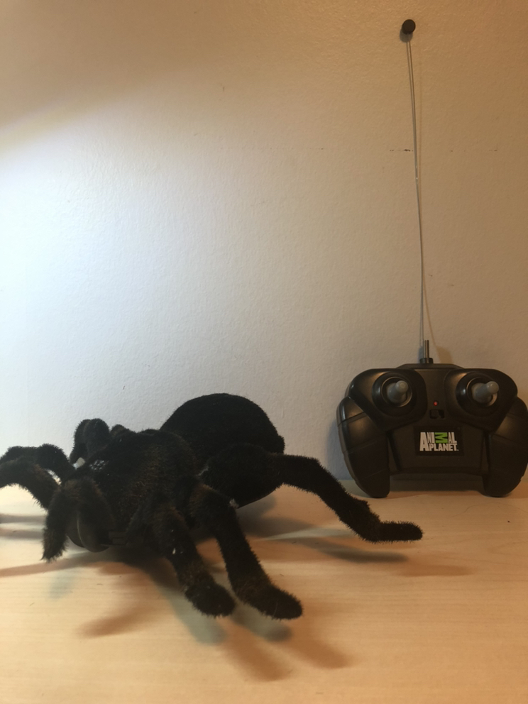 Remote Control Tarantula Toy thumbnail