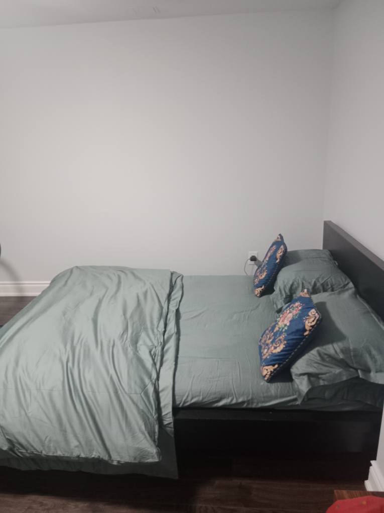 queen bed of IKEA and almost brand new mattress