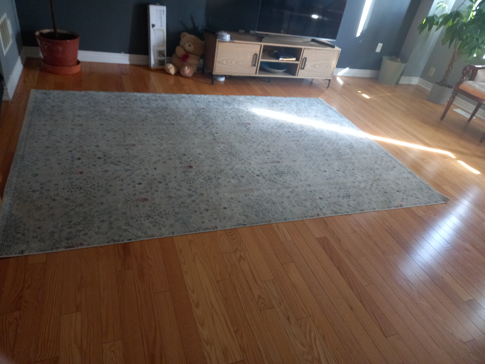 ikea carpet - photo 2