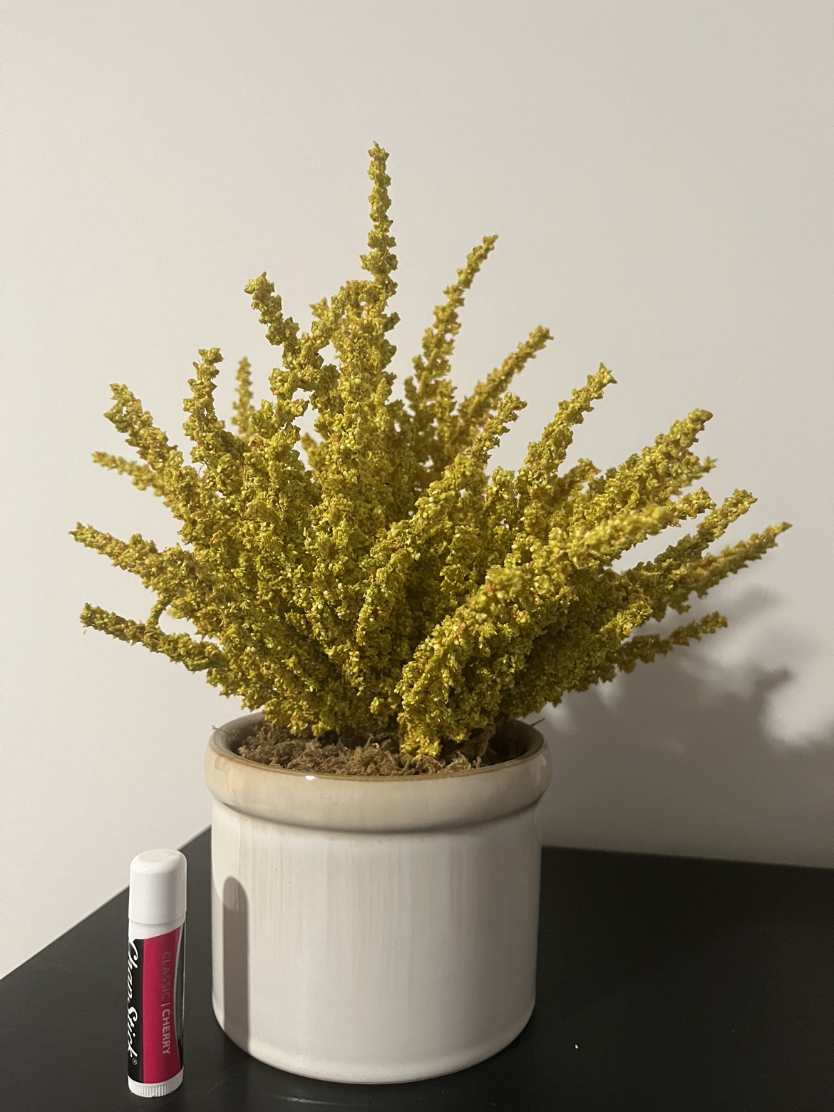 Decor fake plant