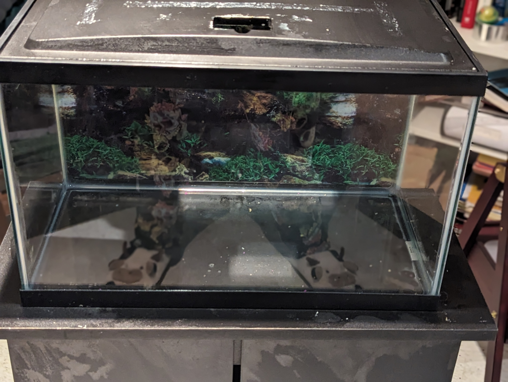 Aquarium with stand and cupboard - photo 2
