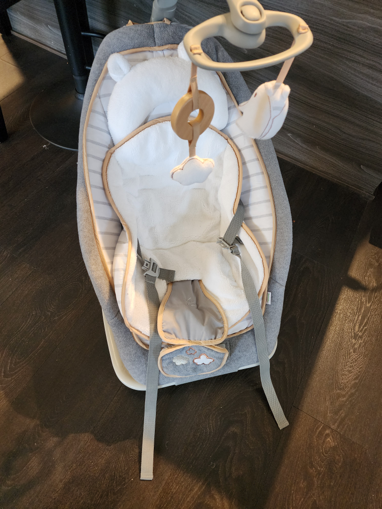 Ingenuity Boutique Collection Rocking Seat - Bella Teddy thumbnail