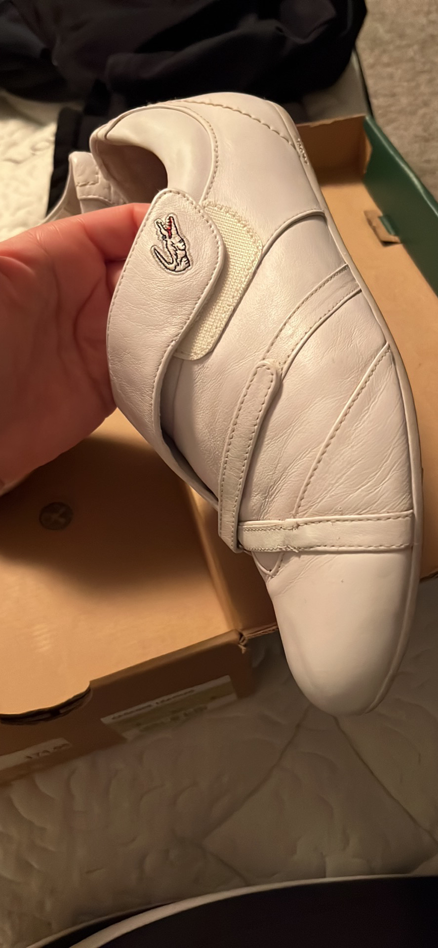 Lacost shoes image indicator(3)