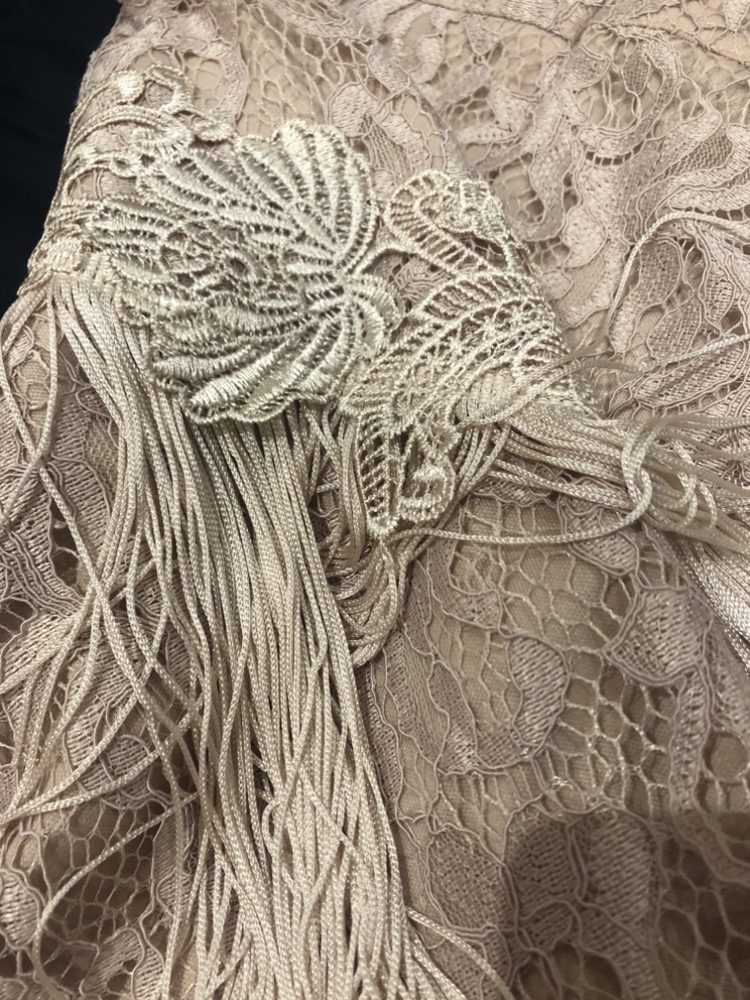 Blush pink lace flapper dress image indicator(4)