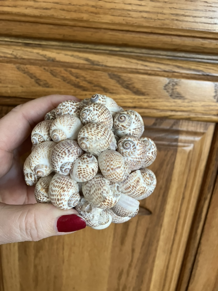 Table decor image indicator(7)