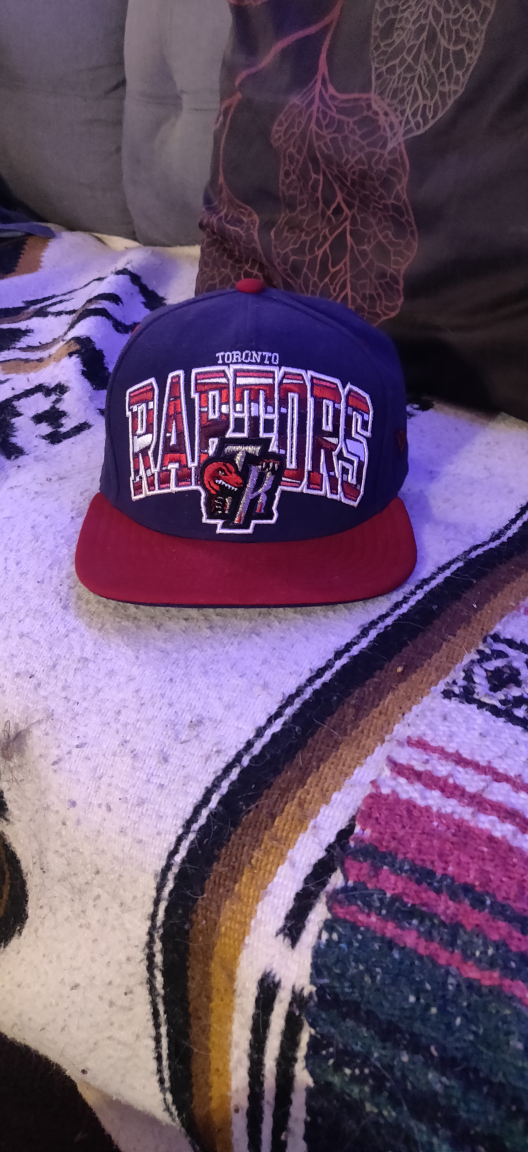 Toronto Raptors Hat thumbnail