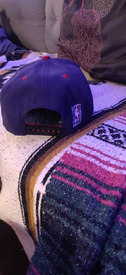 Toronto Raptors Hat image indicator(2)