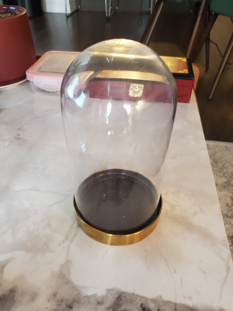 #freecycle IKEA bell jar (glass dome with base) thumbnail