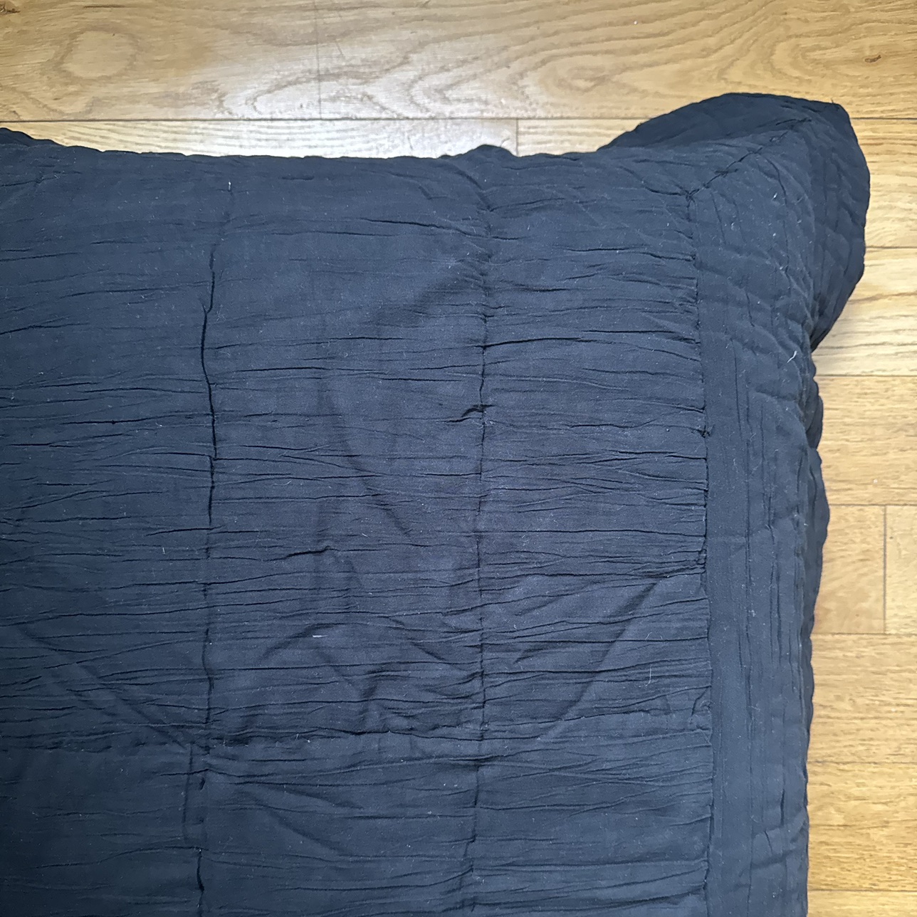 black Pottery Barn crinkle voile quilted euro shams (set of 2) - photo 5