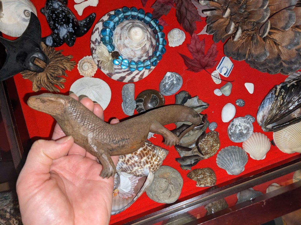 various decor from abroad 🥕 image indicator(2)