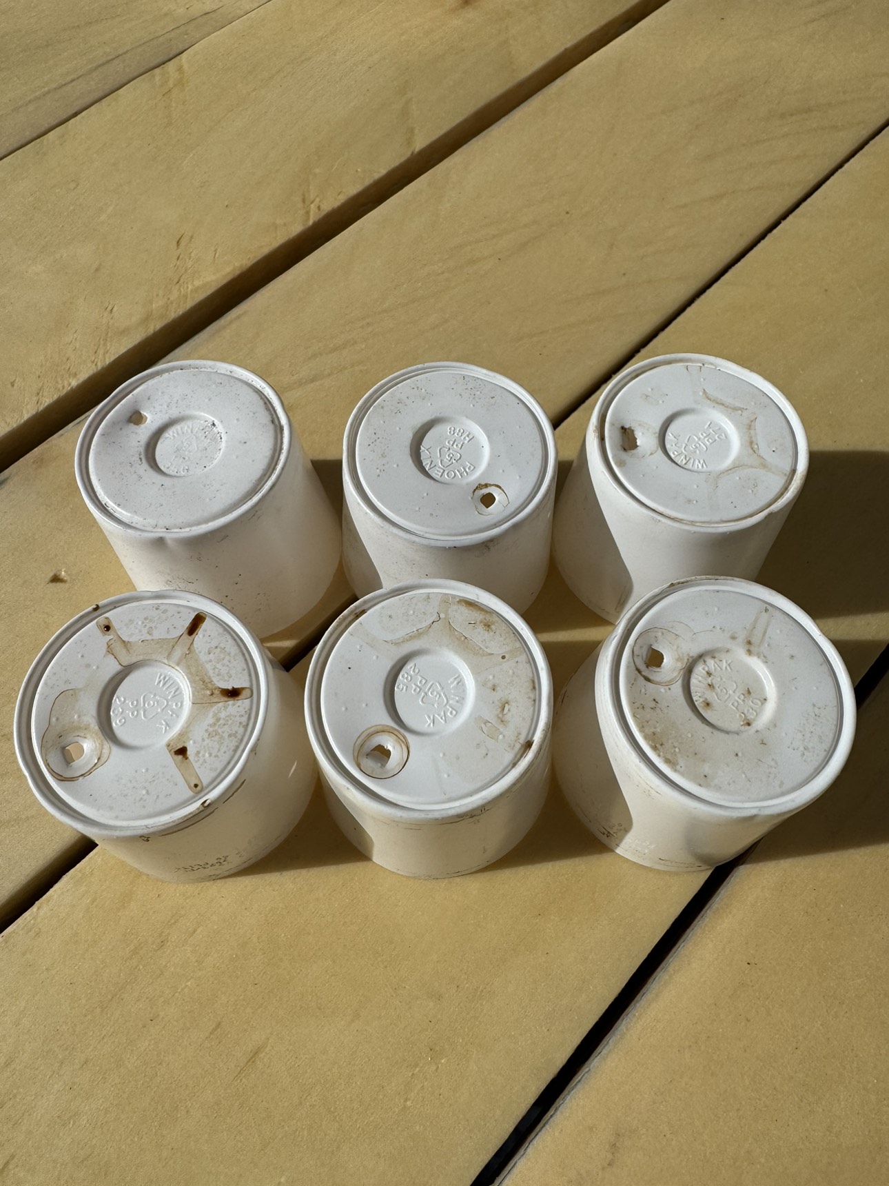 🌱 Plant/Seed starters - recycled K-cups #freecycle image indicator(5)