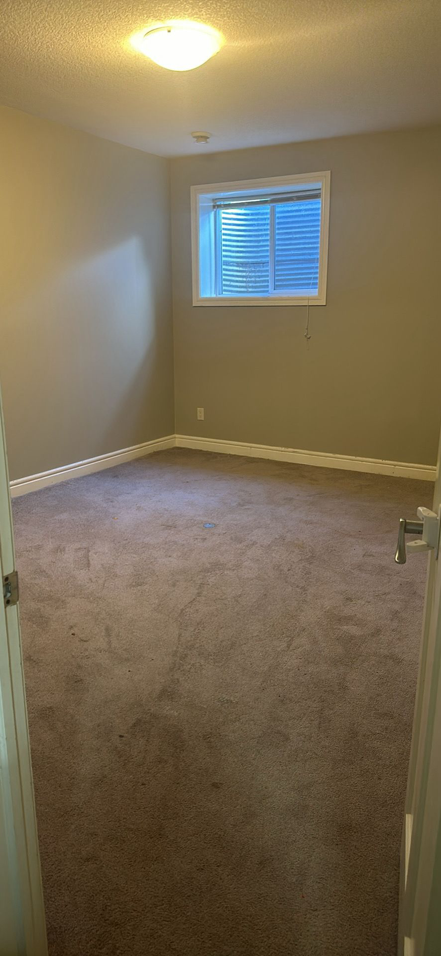 Basement for rent - photo 4