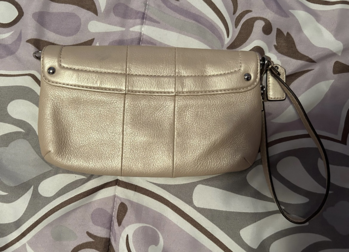 Coach Bag image indicator(2)