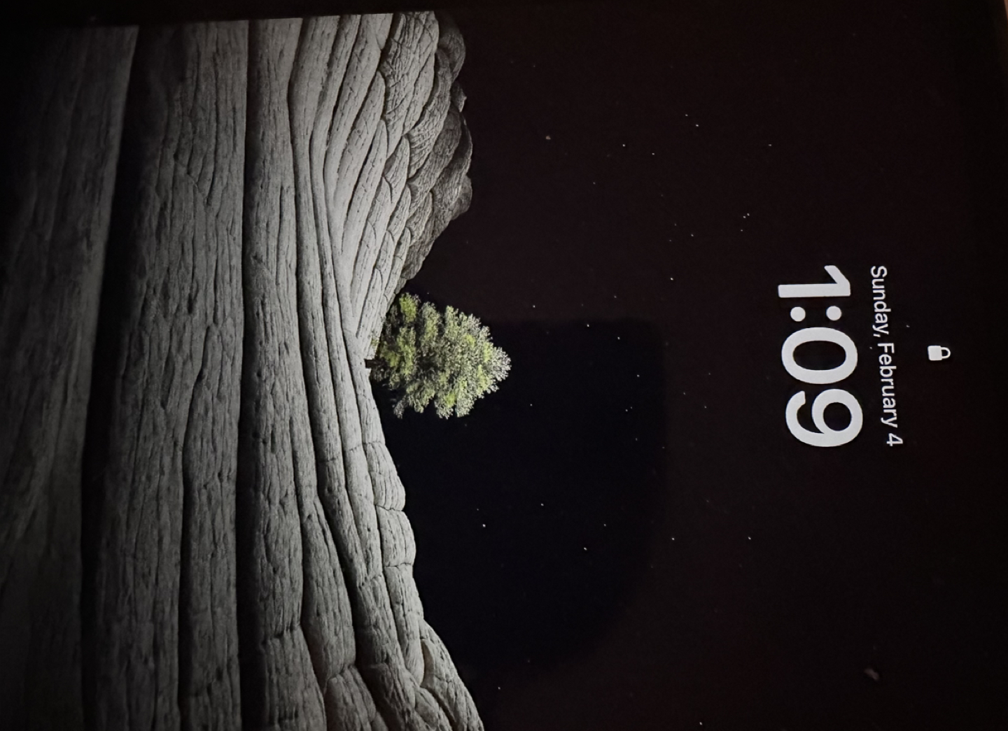 iPad Pro + Apple Pencil 265GB image indicator(8)