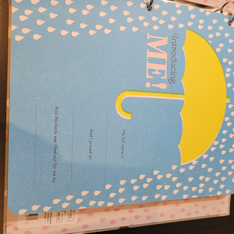 baby book - photo 2